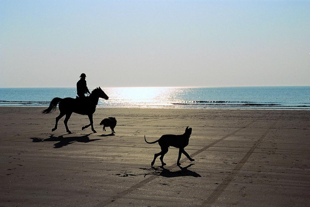 Stadscamping Zeeland ميدلبورغ المظهر الخارجي الصورة